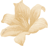 Body Massage in Tathawade PCMC